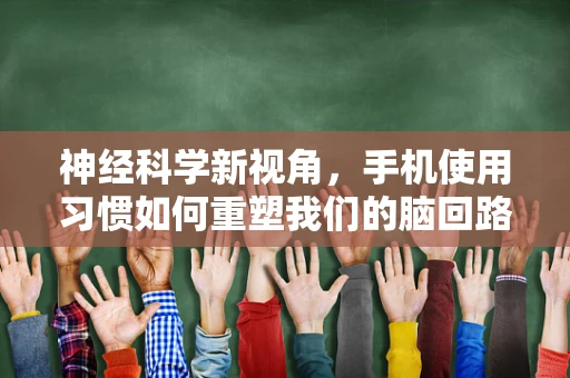 神经科学新视角，手机使用习惯如何重塑我们的脑回路？